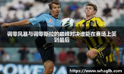 BV伟德官方网站